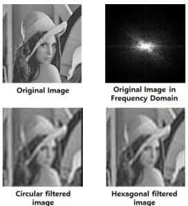 Fig. 6. Results of filtered image using circle and hexagon   shaped filters