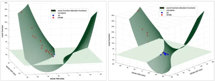Figure 7.  Plot of support vector machine (SVM) score function and decision by the SVM classifier: (a) positive scores of the SVM classifier for input
