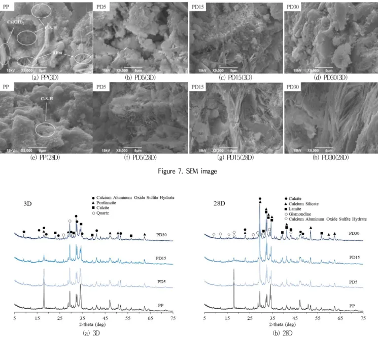Figure 7. SEM image