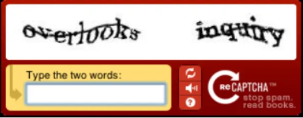 Fig. 4. CAPTCHA Application Example