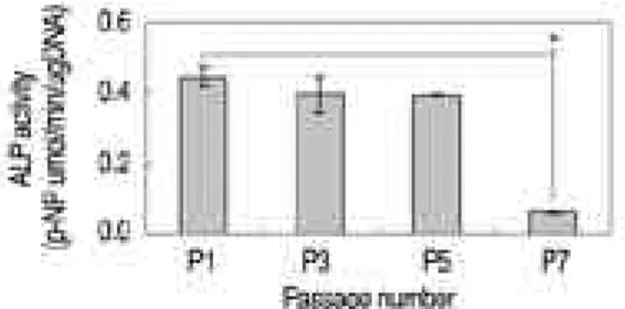 Fig. 4. Semi-quantitative reverse transcription-polymerase chain reaction (RT-PCR) analysis of osteogenic MSCs.