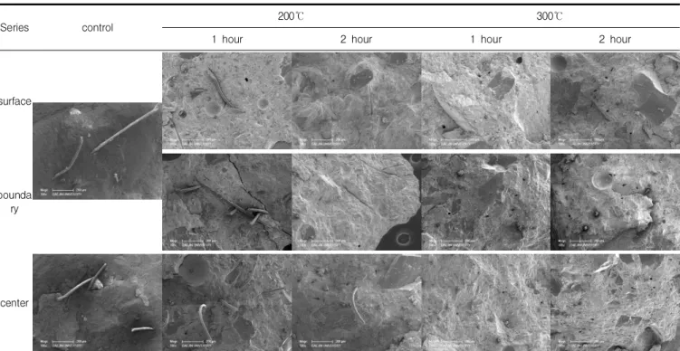 Table 10. Results of SEM imaging(×100) - 80B