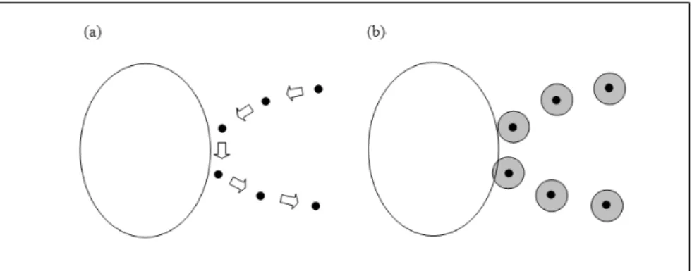 Figure  1.  Behaviors  of  point  object  and  spatially  extended  point  object