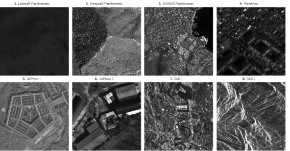 Figure  1.  Remotely  sensed  images