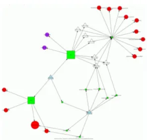 Fig. 5. Visualization Case2.[28] 