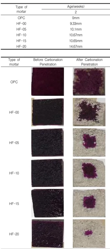 Figure 5. Carbonation penetration test