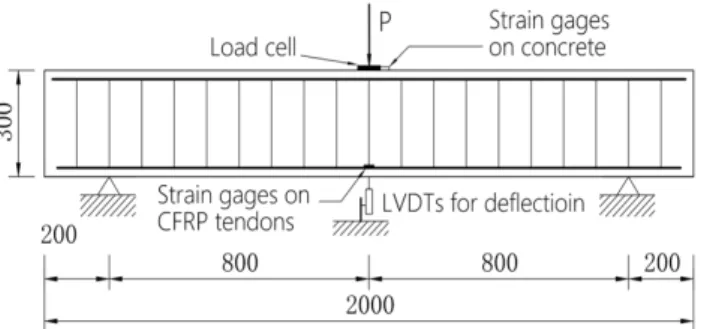 Figure 1. Dimensions of specimen
