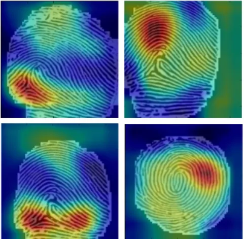 Fig.  6.  Examples  of  the  CAMs  of  fake  fingerprint  image  수 없었으며 일반적으로 지문 이미지 전체 영역에 반 응하여 판단하지 않을까라는 막연한 추론만 존재하였 다