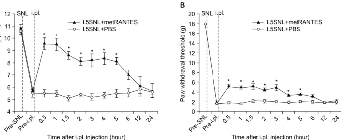 Fig.  2.  Effects  of  intraplantar  injection  of  met-RANTES  on  thermal  and  mechanical  hypersensitivities  established  after  L5  spinal  nerve  ligation