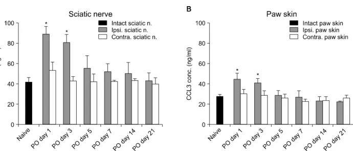 Fig.  3.  Changes  in  CCL3  levels  in  the  sciatic  nerve  and  the  paw  skin  of  rats  at  different  times  after  L5  spinal  nerve  ligation