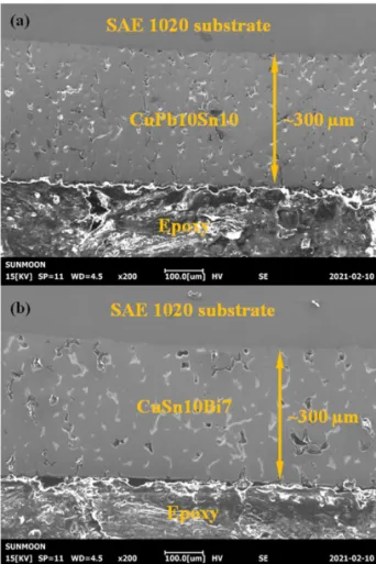 Fig. 1. Cross-sectional SEM images of CuPb10Sn10 (a)  and CuSn10Bi7 (b) alloys.