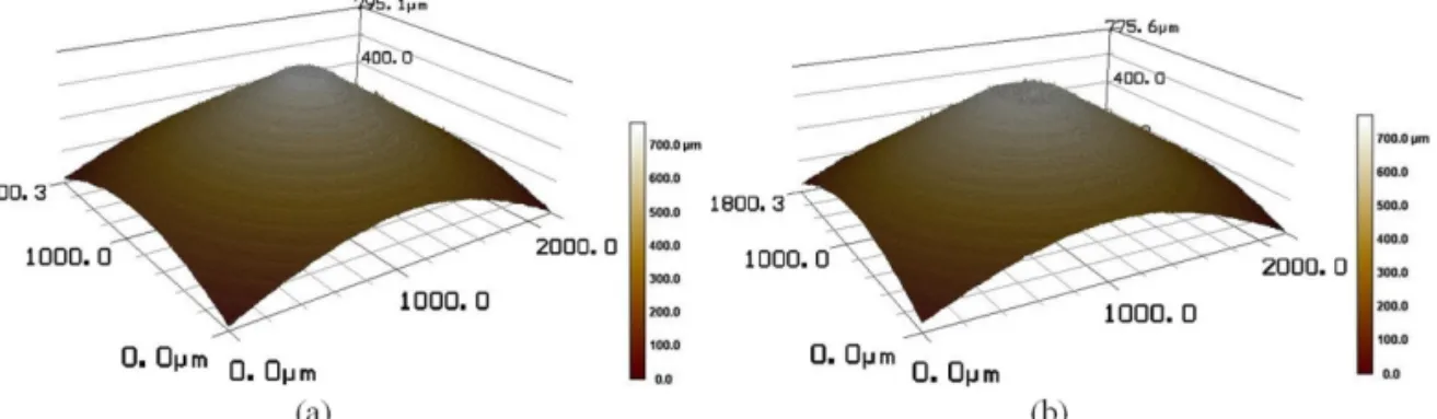 Fig. 6. Three-dimensional confocal microscopy images of NiCrB pins after the tests with (a) CoCrMo and (b) CoCr  plate specimens.