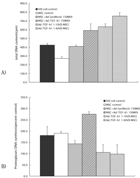 Fig  2.  A)  total  DNA  content  in  three  dimensional  culture  of  IVD  cells  and  Ad/TGF-β1-transduced  MSCs,  B)  Newly  synthesized  proteoglycan  in  three dimensional culture of IVD cells and Ad/TGF-β1-transduced MSCs  presented as percent contro
