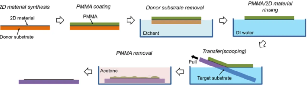 Fig. 1. Schematic of the conventional wet transfer process of two-dimensional material using Poly(methyl methacrylate)  as a transfer film.