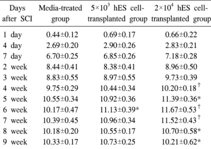 Table  2.  BBB  Scores  of  the  Right  Leg  in  the  SCI  Rats Days after  SCI Media-treated group 5×10 3   hES   cell-transplanted  group 2×10 4   hES   cell-transplanted  group 1  day 4  day 7  day 2  week 3  week 4  week 5  week 6  week 7  week 8  week