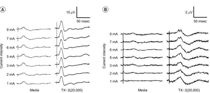 Table  4.  Comparison  in  Results  of  the  SSEP  between  the  Media-  treated  and  the  2×10 4   hES  Cell-transplanted  Group