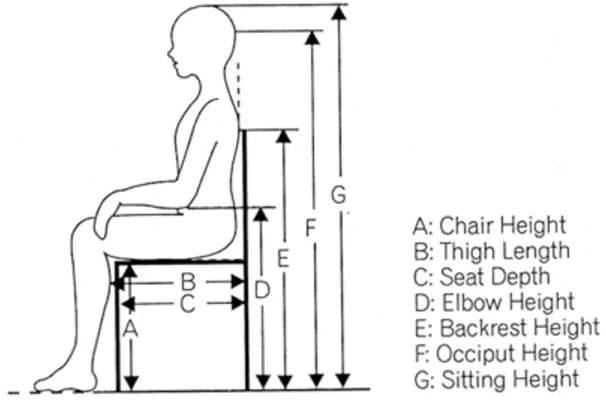 Fig.  1.  Measurements  of  chair.