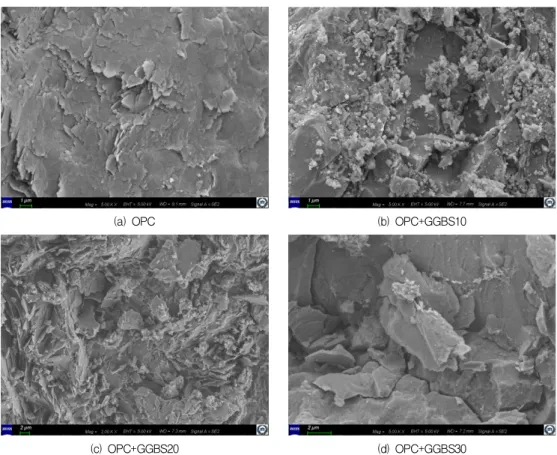 Figure 6. Scanning electron microscope micrograph at 20℃  (Room temperature curing) (Age 7 days)