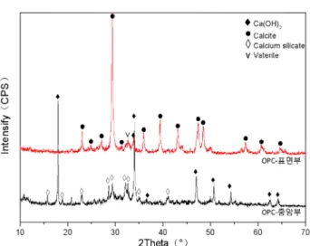 Figure 4. XRD patterns of carbonated and noncarbonated parts of MH5