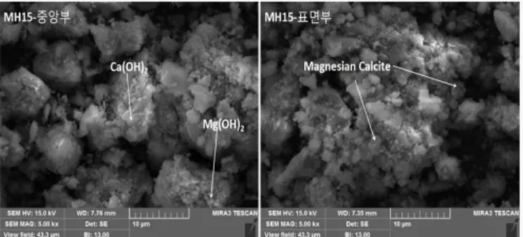 Figure 13. SEM image of noncarbonated part and carbonated part of MH15