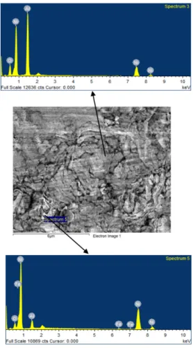 Fig. 7. Electron image on worn surface of B10 layer coated at 650 o C after testing at a sliding speed of 2m/s and the results of EDX analysis.