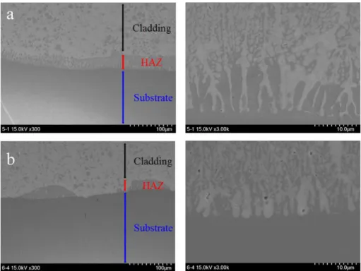 Fig. 9. SEM photography of the laser cladding (powder supply rate): (a) 2.5 rpm, (b) 3.5 rpm.