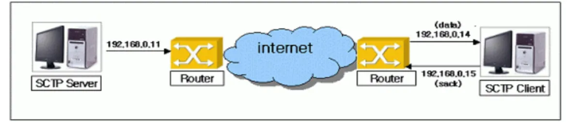 Figure 5. Network configuration for SCTP multi-homing 