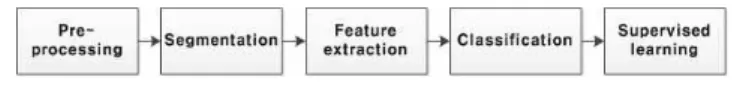Figure 3. Image analysis procedure