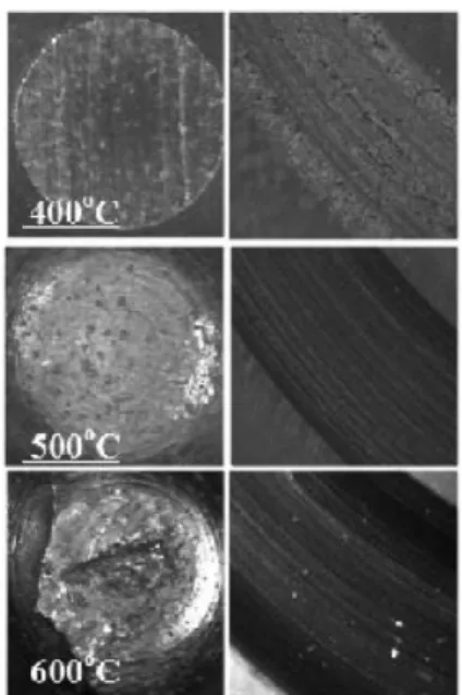 Fig. 6. Wear surface of pin (DCI roll) and disk (SAE9254) with different temperature at the sliding velocity of 0.0628 m/s.