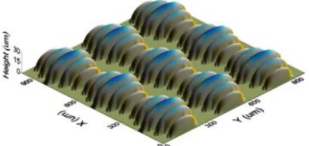 Fig. 6. Surface with micro semi-elliptical riblets by WEDM and micor molding.