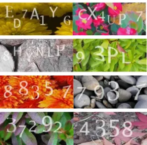 Fig.  3.  CAPTCHA  of  N  portal  site  (Updated  version) 을  사용하여  글자  분리를  어렵게  만들었지만  새로운  버전의  캡챠는  글자의  변형을  최소화하여  가독성을  높이는  대신  다양한  자연  이미지를  배경으로  삽입하 여 글자 추출 자체를 어렵게 만들었다