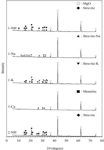 Figure 4. XRD pattern of MPC pastes