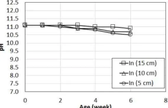 Figure 3. Influence of piling height of recycled fine aggregate on pH reduction (indoor conditions)