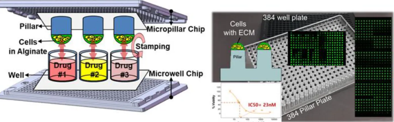 그림  12. CellVitro TM 의  제품인  Micropilar/microwell chip을  이용한  뇌종양  환자유래세포의  약물  효능성  분석  및 