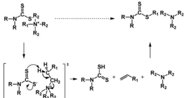 Fig. 7. Decomposed R-DTC-AmIL-R 1 R 2  mechanism by hofmann-elimination.
