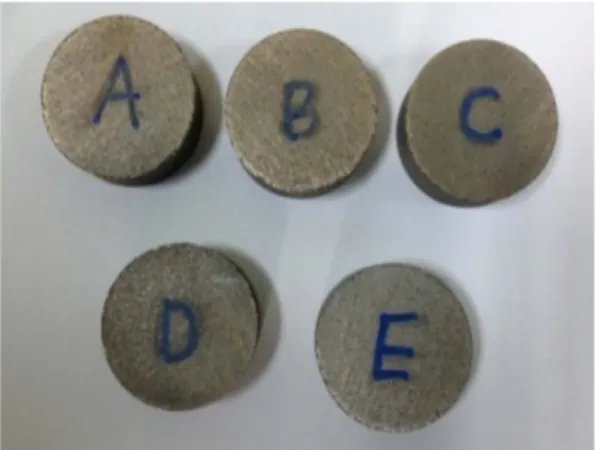 Fig. 1. Morphology of brake disk for test. Fig. 2. Friction materials after sintering.