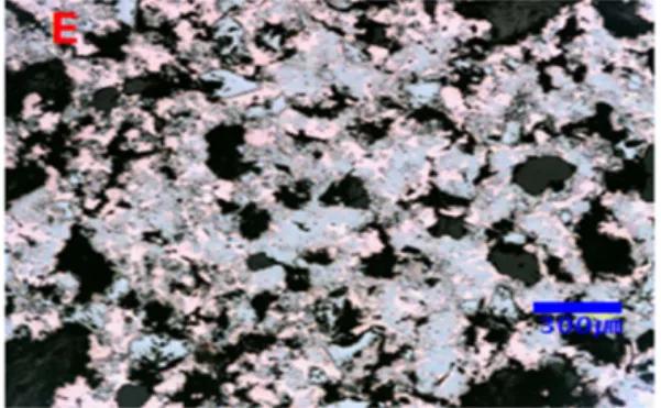 Fig. 3. Friction materials for test.