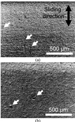 Fig. 5. Confocal microscopy images of the polyurethane specimen obtained from the field