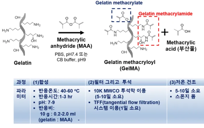 그림  1. Gelatin methacryloyl의  합성  과정. 