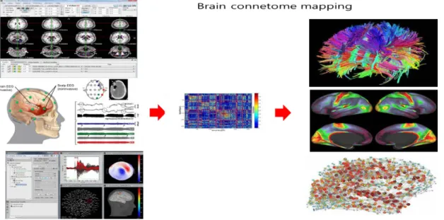 그림  1. Brain connetome을  매핑하기  위한  뇌모델구축을  위한  뇌영상  자료나  뇌영역에서  모서리의  연결  정점,  회백질  형태학적  모서리  및  화소  데이터의  배열로  완성된  뇌  connetome  구조영상 