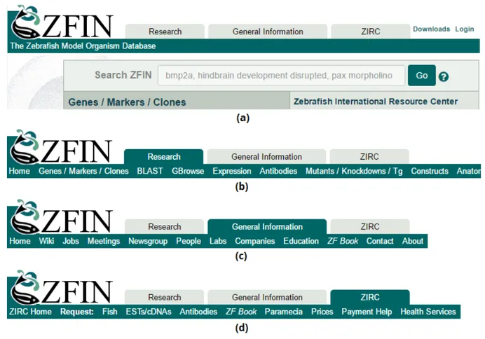 그림  6. ZFIN 메뉴. (a) 기본  메뉴와  검색창. (b) Research 항목과  하위  주제. (c) 기본  정보  항목과  하위  주제. (d)  제브라피쉬  국제  자원  센터  (ZIRC)  관련  사항