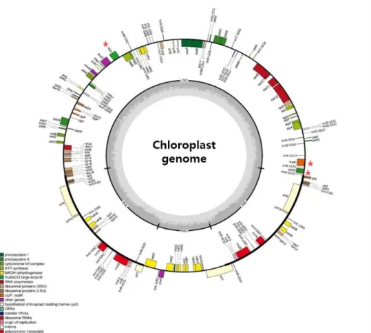 그림  2.  Circular gene map of the Aconitum species*  엽록체  genome  내에  존재하는  범용성  core  DNA barcode  위치 
