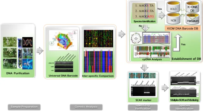 그림  6. Stragies for DNA barcoding and marker development  2.4 DNA  바코드  데이터  베이스  국내외  현황 