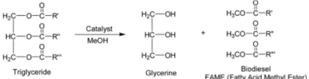 Table 1. Determination of fatty acid methyl ester component in biodiesel by GC-Mass