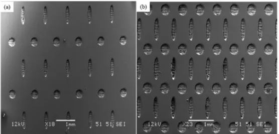 Fig. 5. The SEM micrographs of multi-scale textured surface (a) at low density of 7%, (b) high density of 20%.