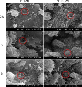 Figure 8 SEM image (x15,000) OPC, MK15[6M]