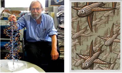 그림  1. DNA 나노기술의  창시자  Nadrian C. Seeman (좌)  과  나노구조체의  제작에  영감을  준  Escher  의  예술작품  (우)