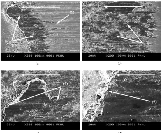 Fig. 2. SEM images of worn surface of counterpart materials : (a) 5 N, (b) 10 N, (c) 15 N, (d) 20 N.