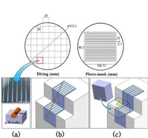 Fig. 2. Schematic diagram of etching system.