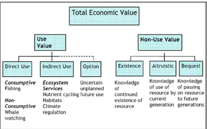 Figure 2. The schematic diagram of total economic value framework (UNEP 2006) 